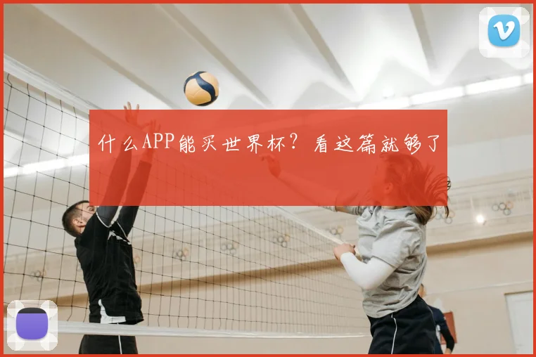 什么APP能买世界杯？看这篇就够了